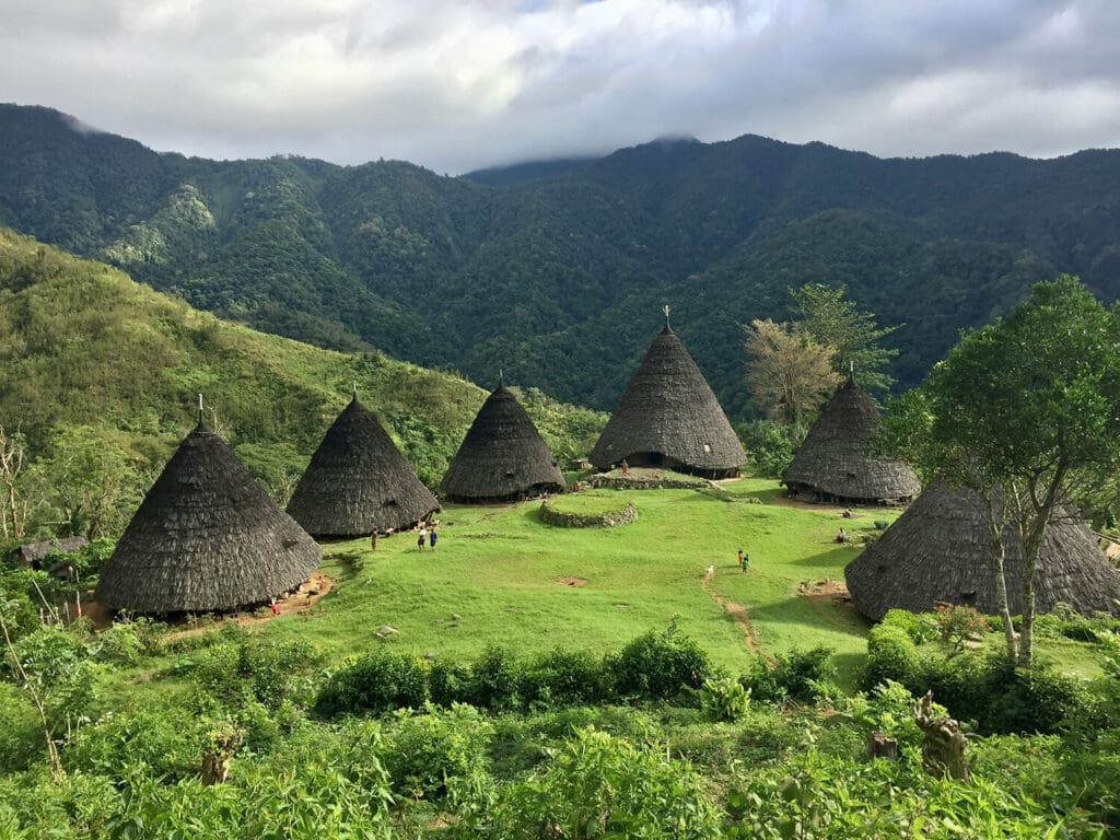 The unique cone shaped buildings known as Mbaru Niang in a circle around a bright green patch of grass with rolling jungle hills behind. 